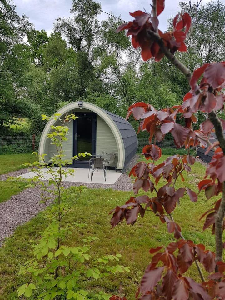 Mount Hillary Holiday Pods Cork Zewnętrze zdjęcie